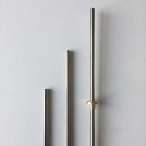 SUS304 Tr8*1 ACME Lead Screw