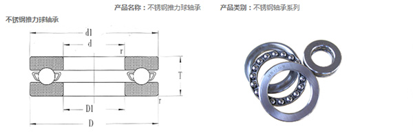 Stainless Steel Thrust Bearing