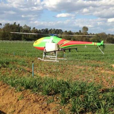 Single-rotor UAV agriculture helicopter for plant protection or farm