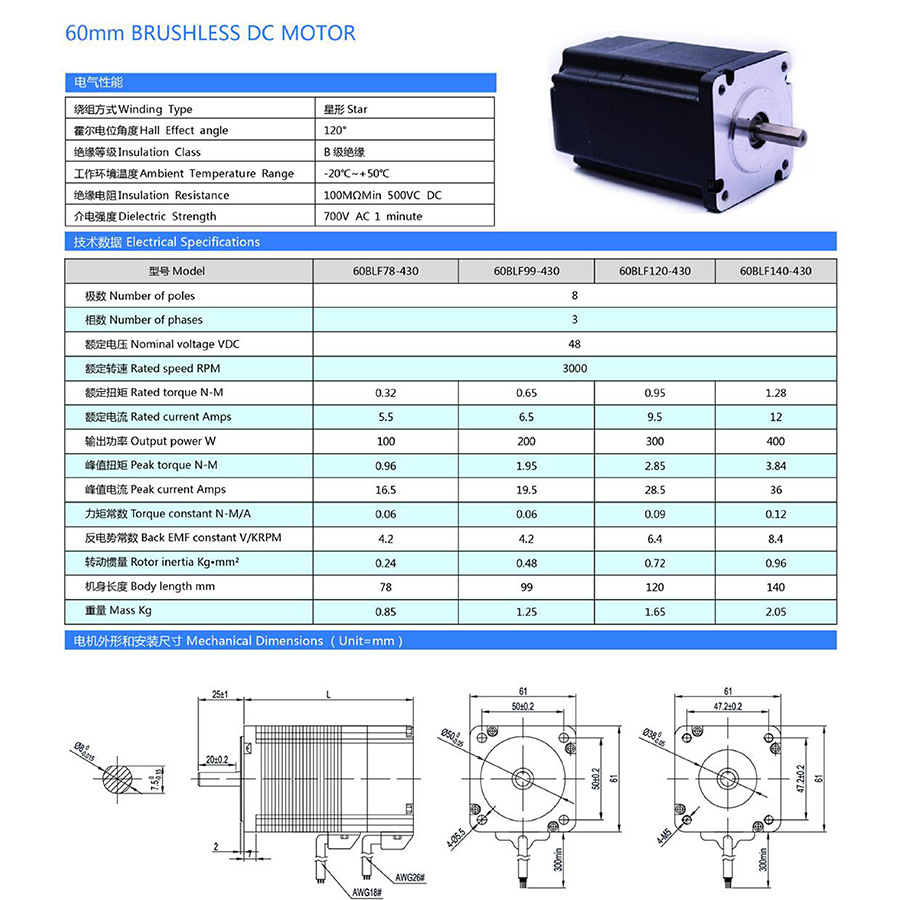 bldc motor 300w