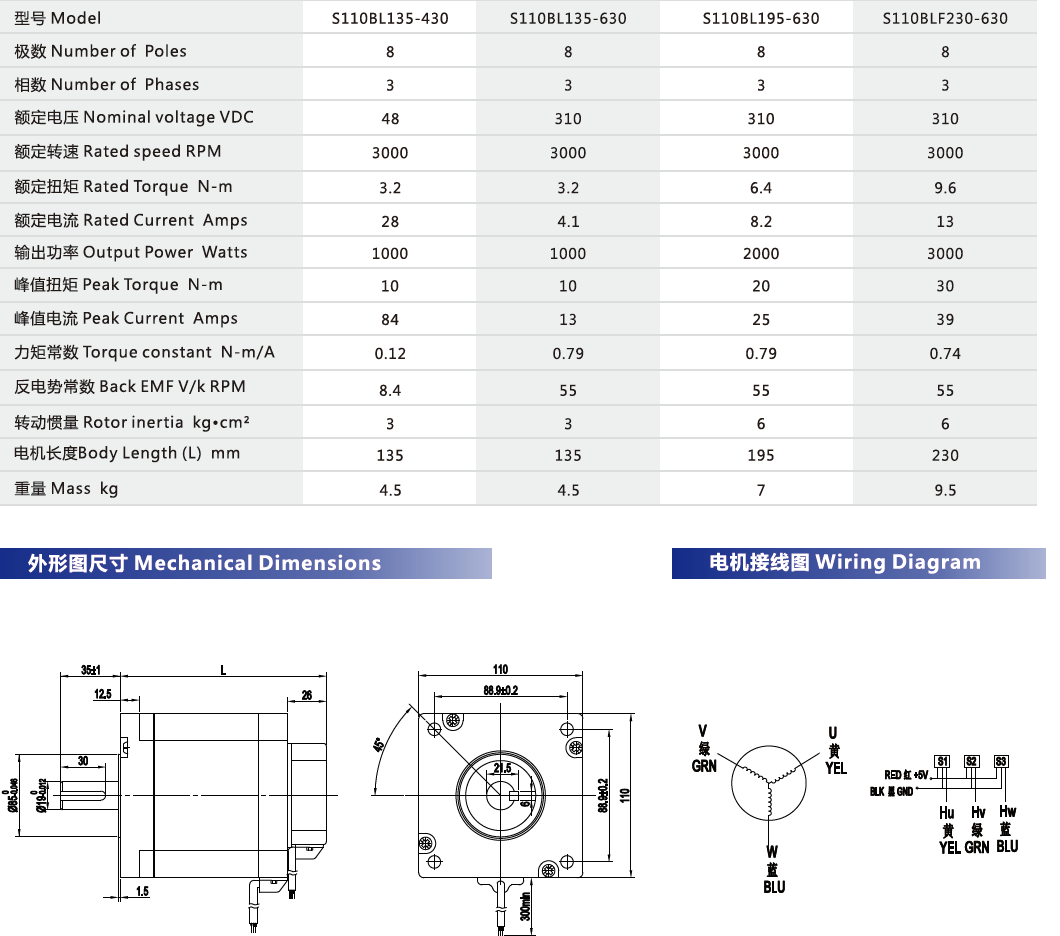 110 BLDC Motor